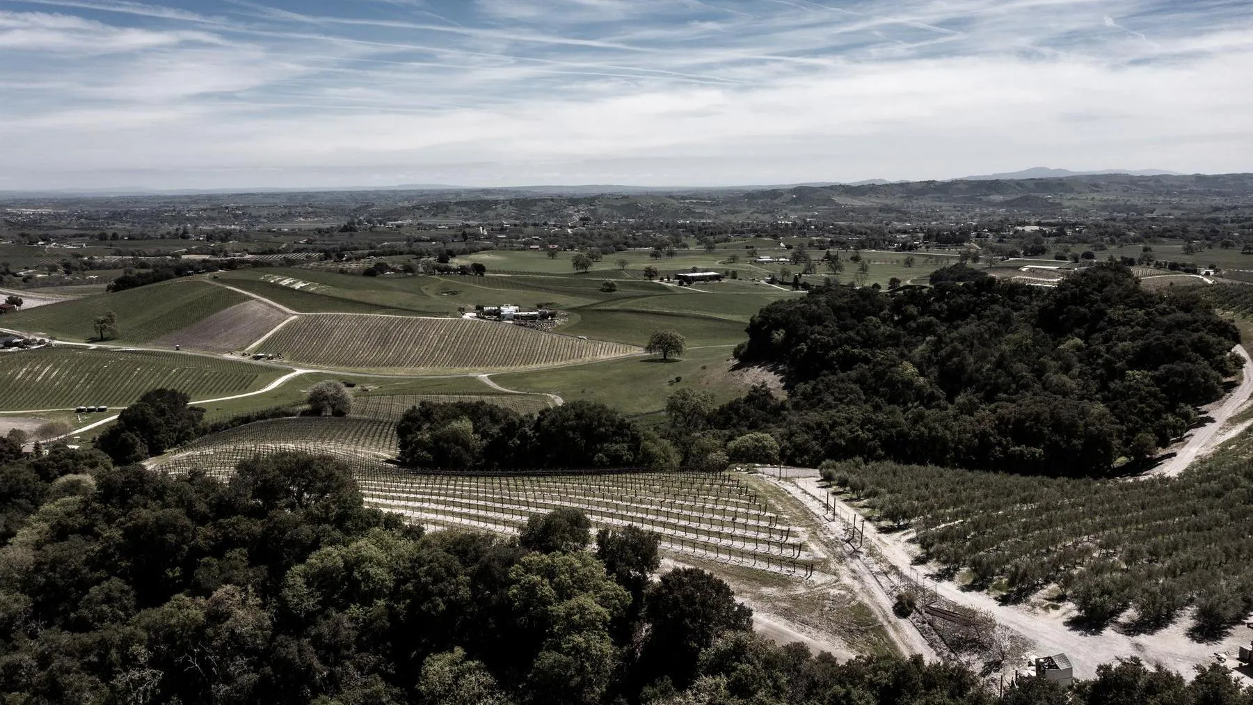 Serial Wines Vineyard