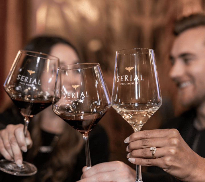 Sip, Sparkle, and Sway into the New Year