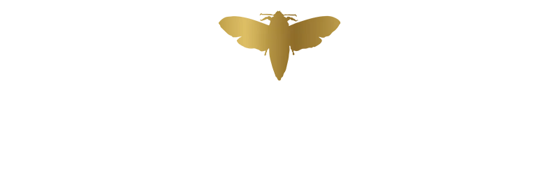 Serial Wines | A John Anthony Wine & Spirits Company Logo (Link to homepage)